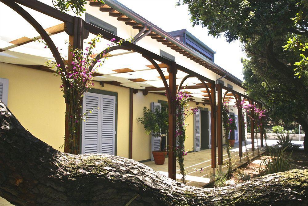 סן וינצ'נזו Hotel Il Delfino מראה חיצוני תמונה
